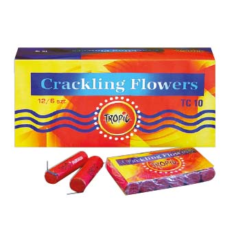 Roza TC10 5p x12/Crackling Flowers(240)